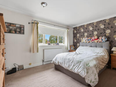 Picture 12
